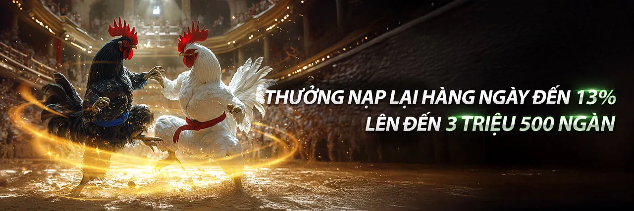 Đá gà trực tuyến mcw77 chính thức